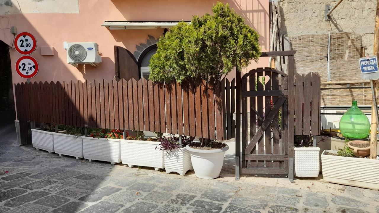 Mezza Torre B&B Procida Exteriör bild