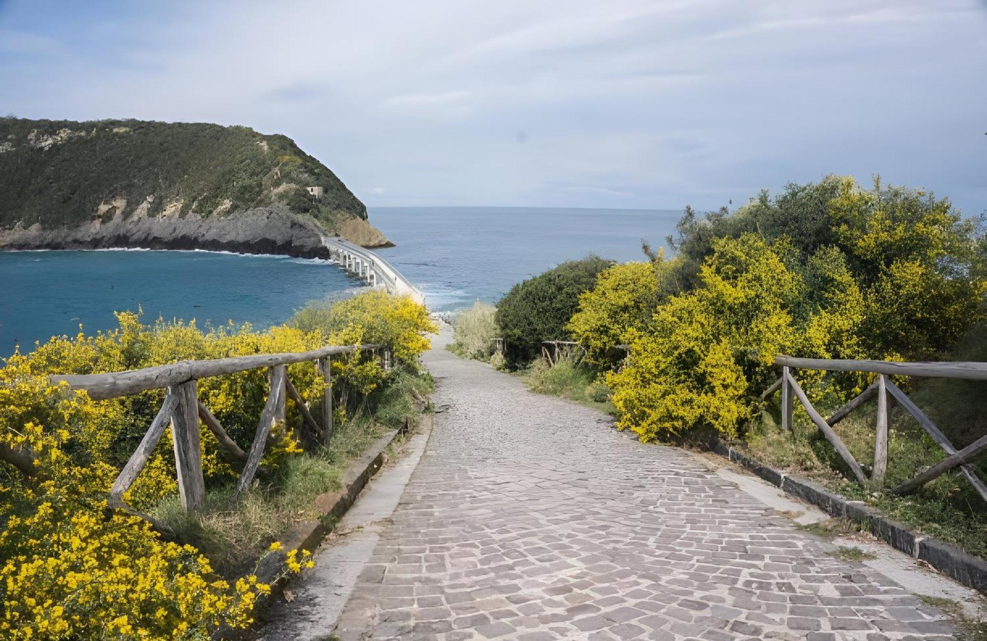 Mezza Torre B&B Procida Exteriör bild